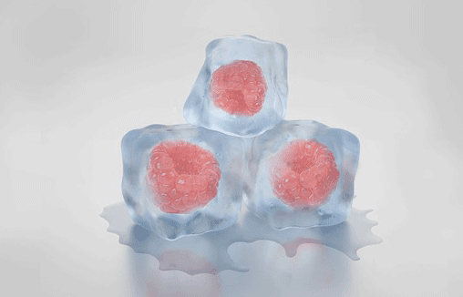 gourmet ice cubes with raspberry inside